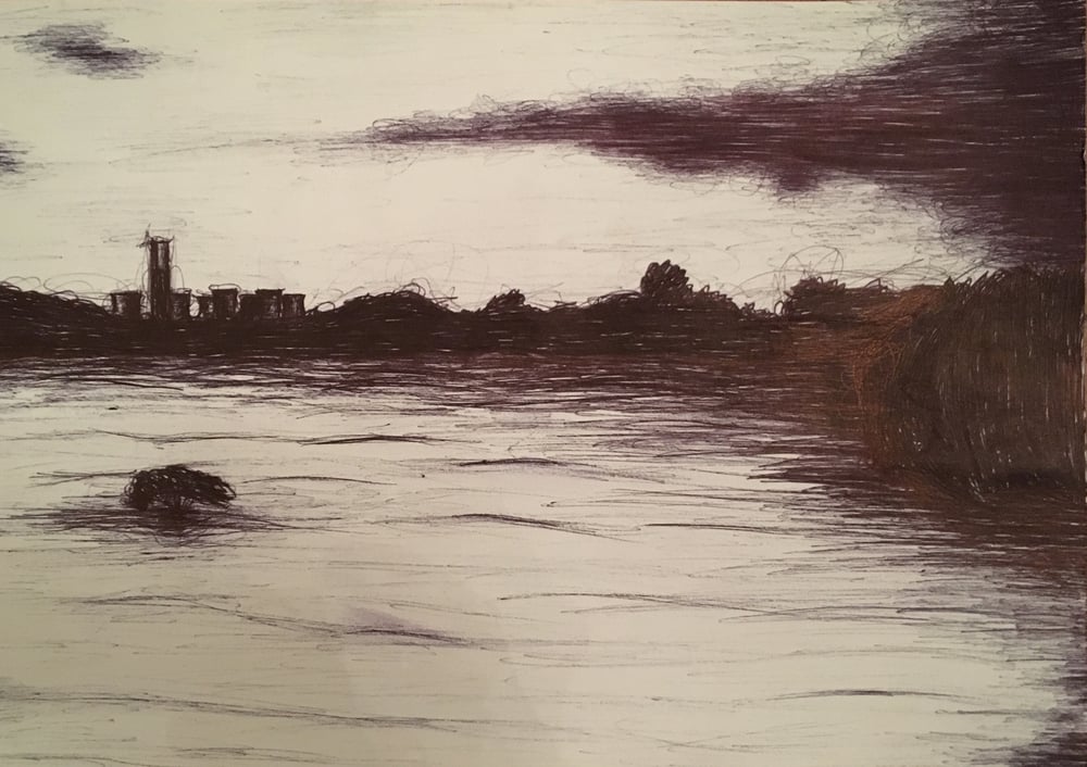 Image of Attenborough Nature Reserve 1