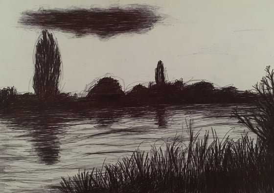 Image of Attenborough Nature Reserve 2