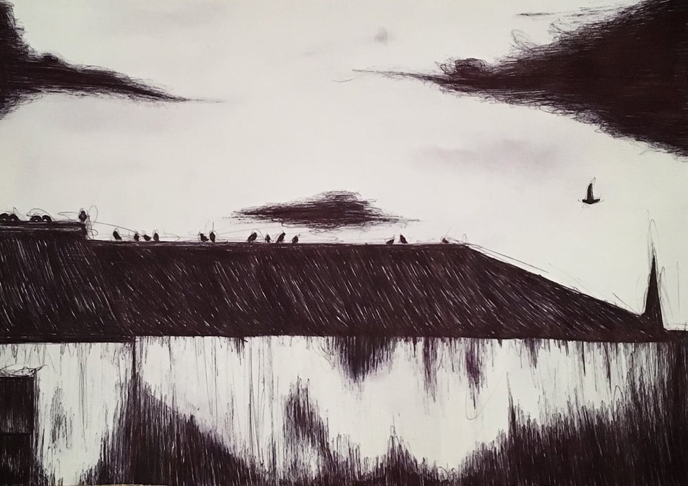 Image of Birds On A Roof