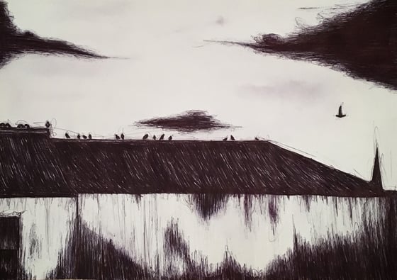Image of Birds On A Roof