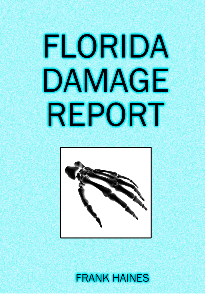 Image of Frank Haines - Florida Damage Report