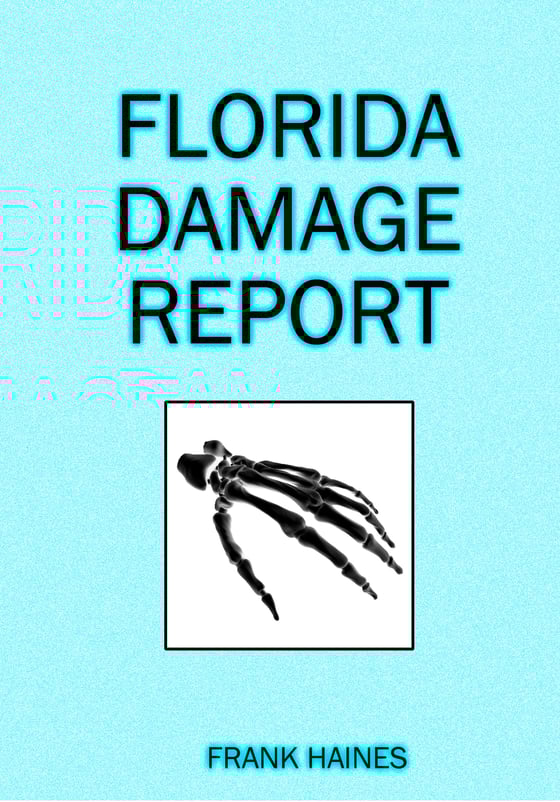 Image of Frank Haines - Florida Damage Report