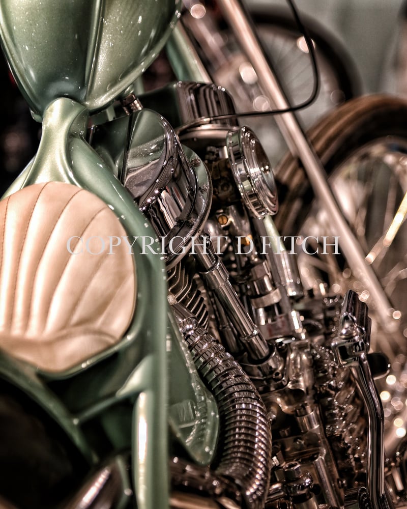 Image of "Shine" Signed Print