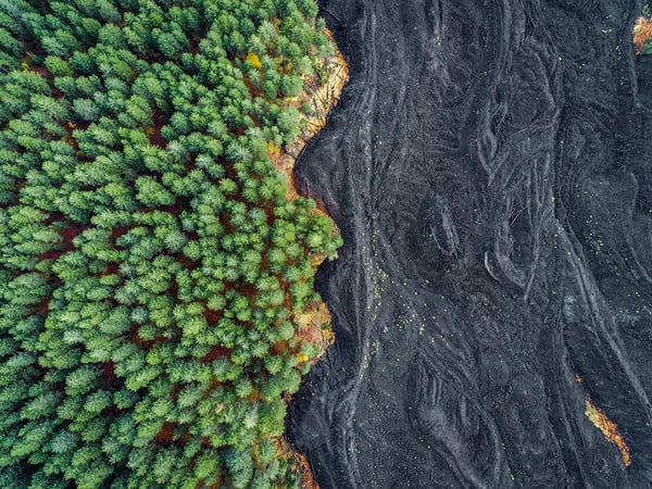 Image of Solidified Lava versus Forest