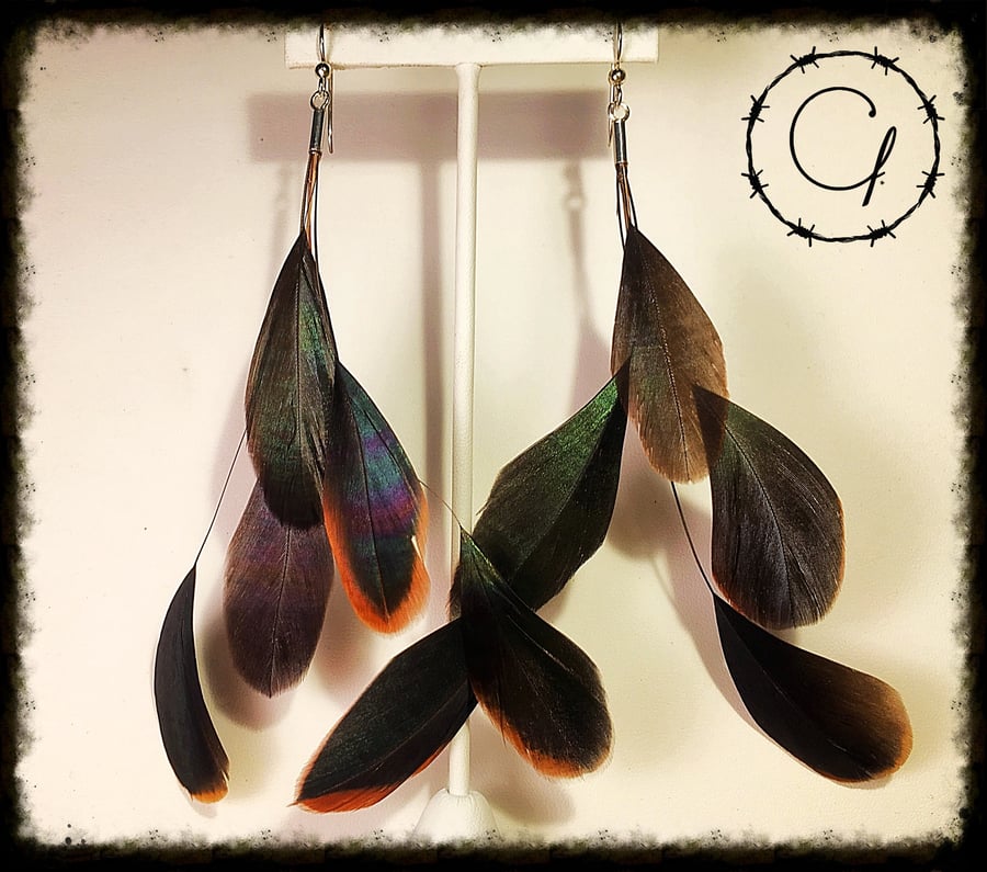 Image of Feather Earrings