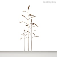 Image 1 of Wandaufkleber Gräser Christl