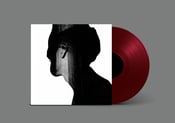 Image of You Are Mostly Nowhere (LP)