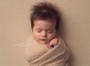 Image of BABIES 6wks-12wks