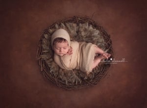 Image of BABIES 6wks-12wks