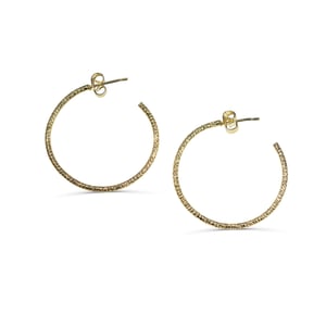 Image of Créole brillante médium Shiny Summer // Medium Shiny Hoop