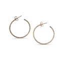 Créole brillante médium Shiny Summer // Medium Shiny Hoop