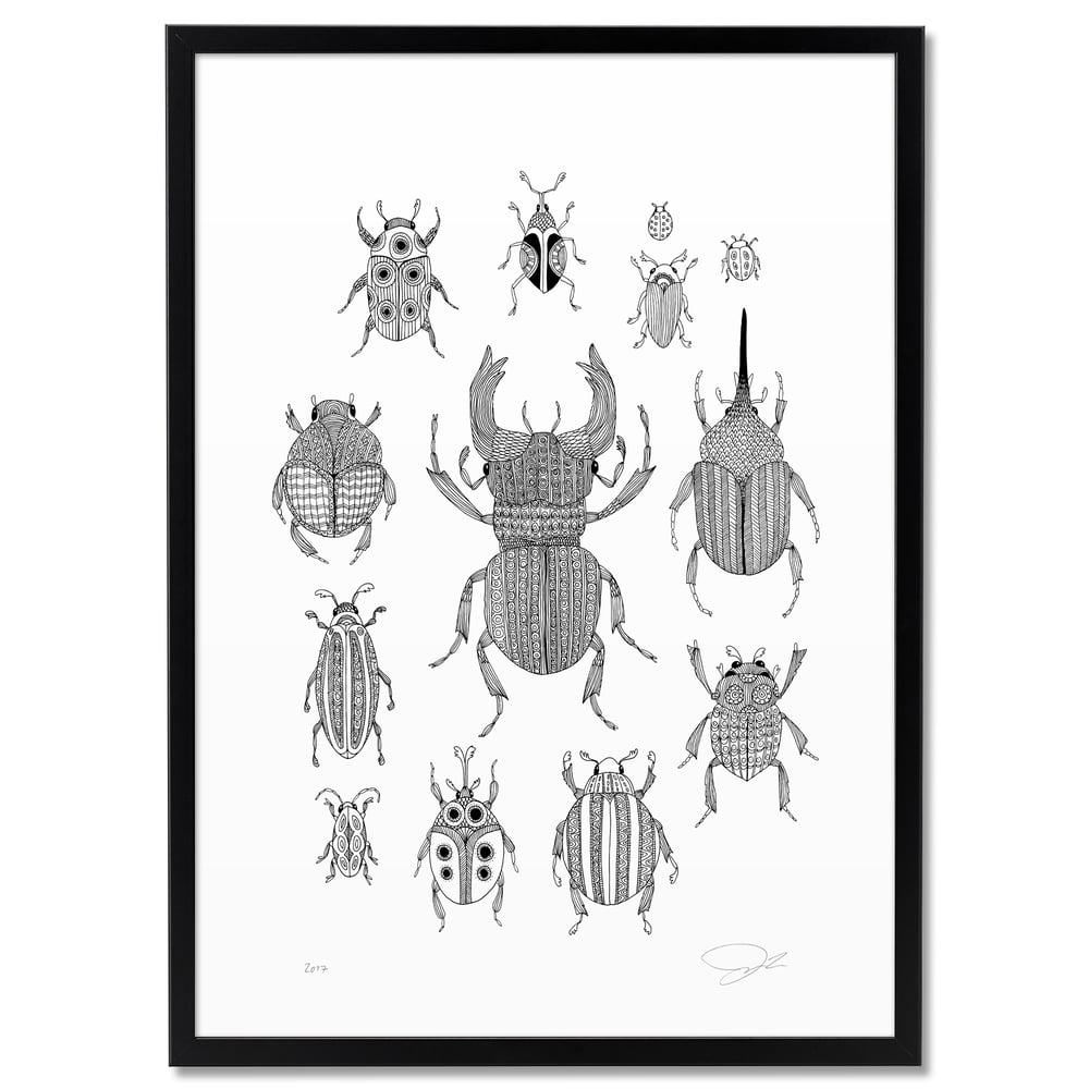 Large Print: Beetles