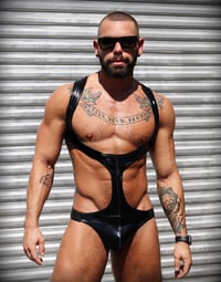 Image 1 of THE MASTER SINGLET   (glossy black)