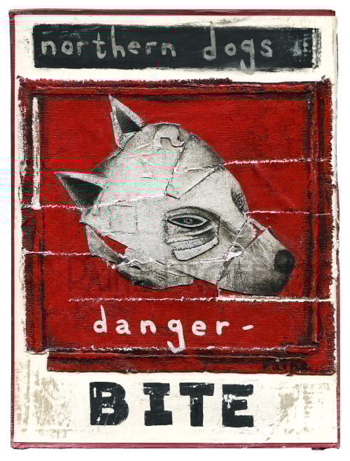 Image of Northern Dogs Bite