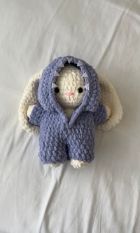 Bunny In a Shark Onesie
