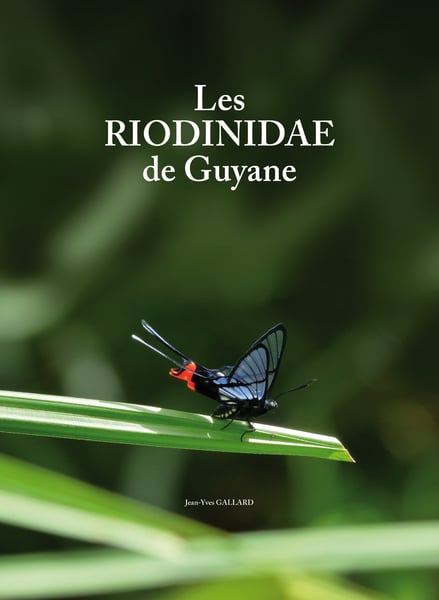 Image of Les Riodinidae de Guyane / French Guyana Riodinids