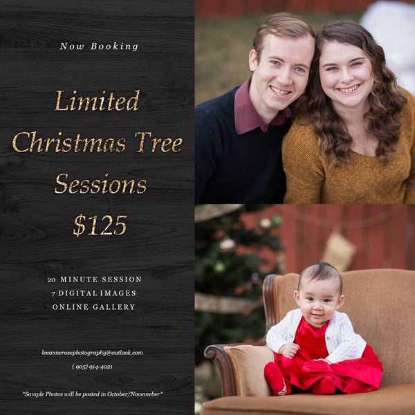 Image of Nov 11th Limited Christmas Tree Sessions