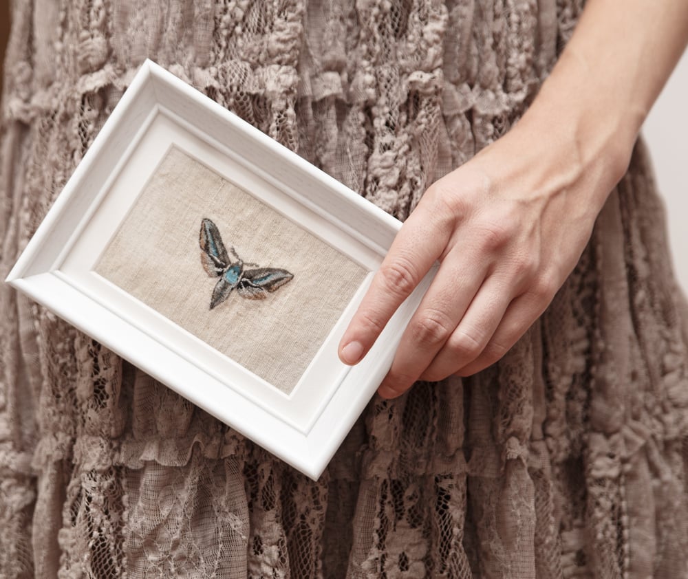 Image of Embroidered moth in white frame