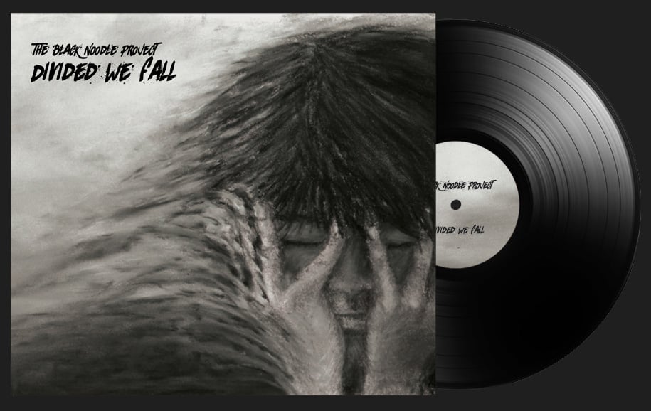 Image of THE BLACK NOODLE PROJECT - Divided We Fall - LP