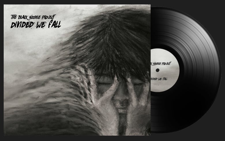 Image of THE BLACK NOODLE PROJECT - Divided We Fall - LP