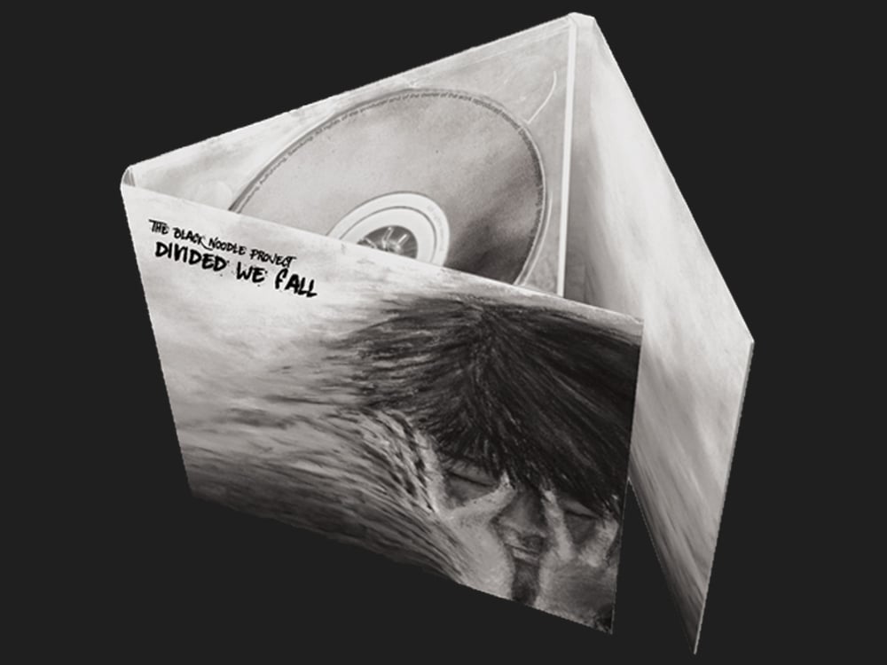 Image of THE BLACK NOODLE PROJECT - Divided We Fall - Digipack CD