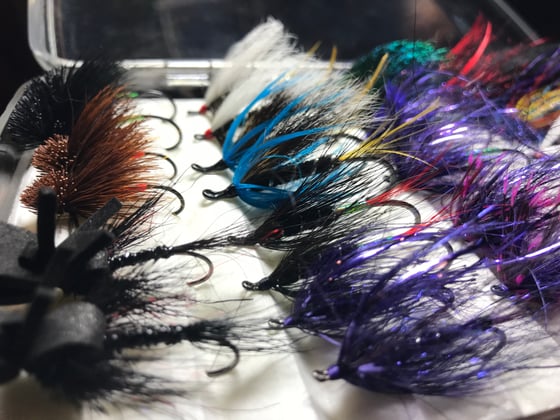 Image of steelhead box set