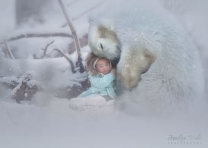Image of Baby Polar Bears Overlays