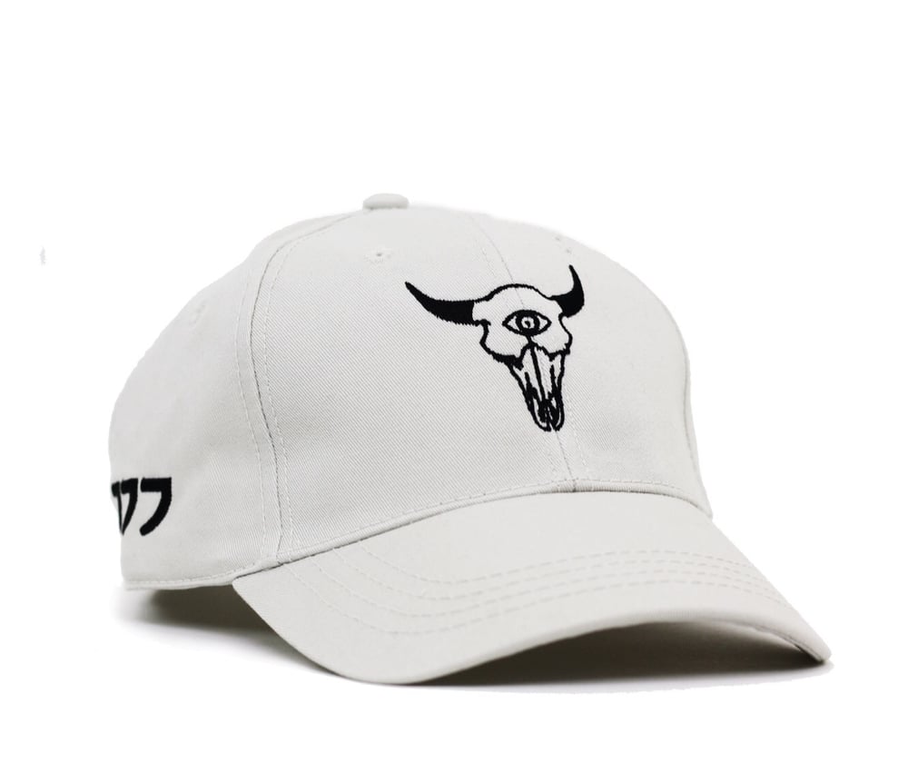 Image of OREGONTRAILBLAZERS CAP