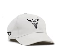 OREGONTRAILBLAZERS CAP