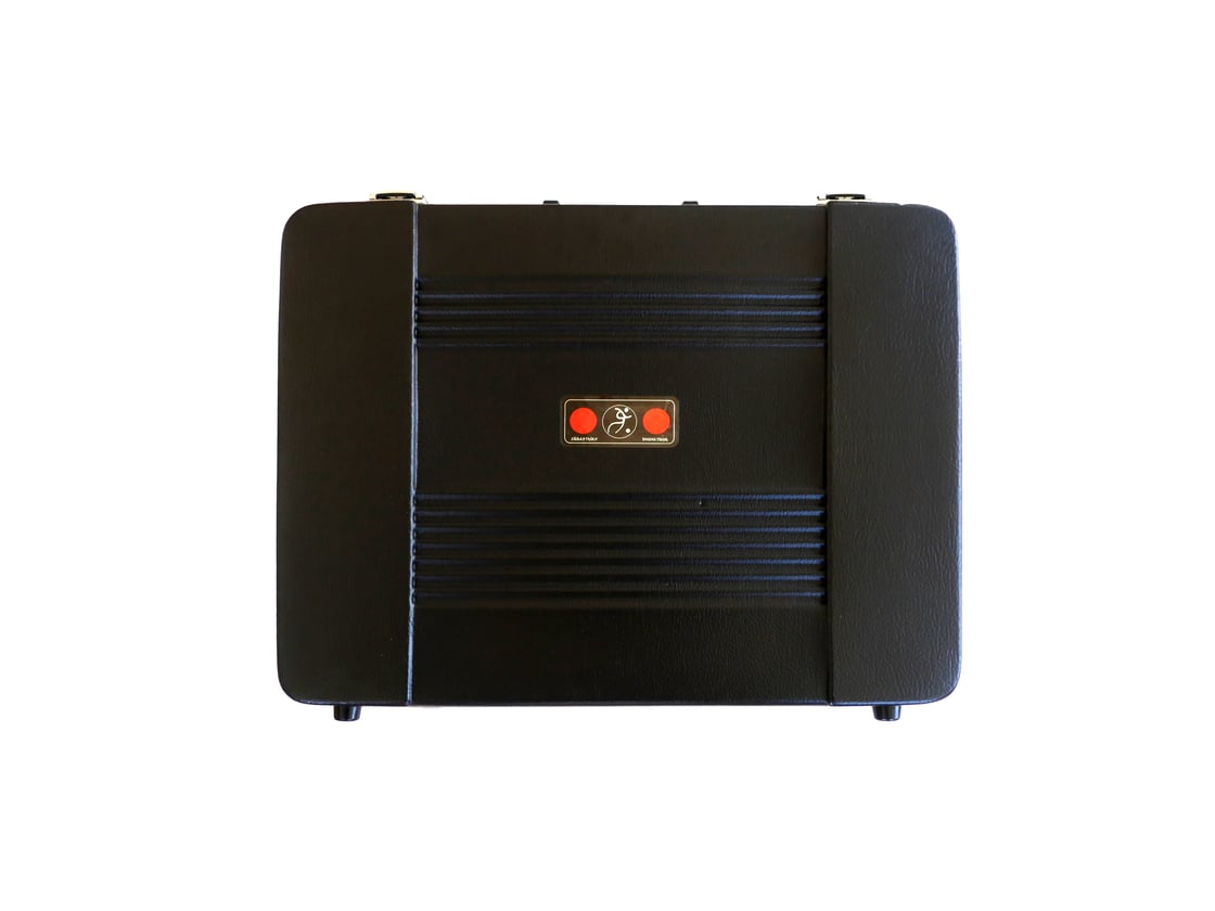 Image of Siddarthian innovations 4U case (email for availability)