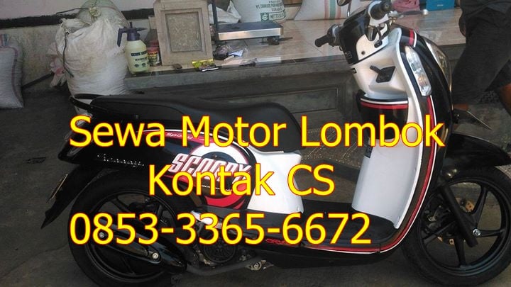 Sewa Motor Untuk Trasportasi Lombok Murah Sewa Motor Di Lombok