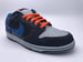 Image of NIKE DUNK LOW PRO SB "PATAGONIA"