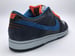 Image of NIKE DUNK LOW PRO SB "PATAGONIA"