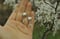 Image of Herz & Opal Ohrringe