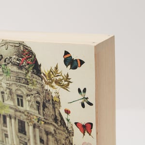 Image of Madrid Botánico formato cuadrado