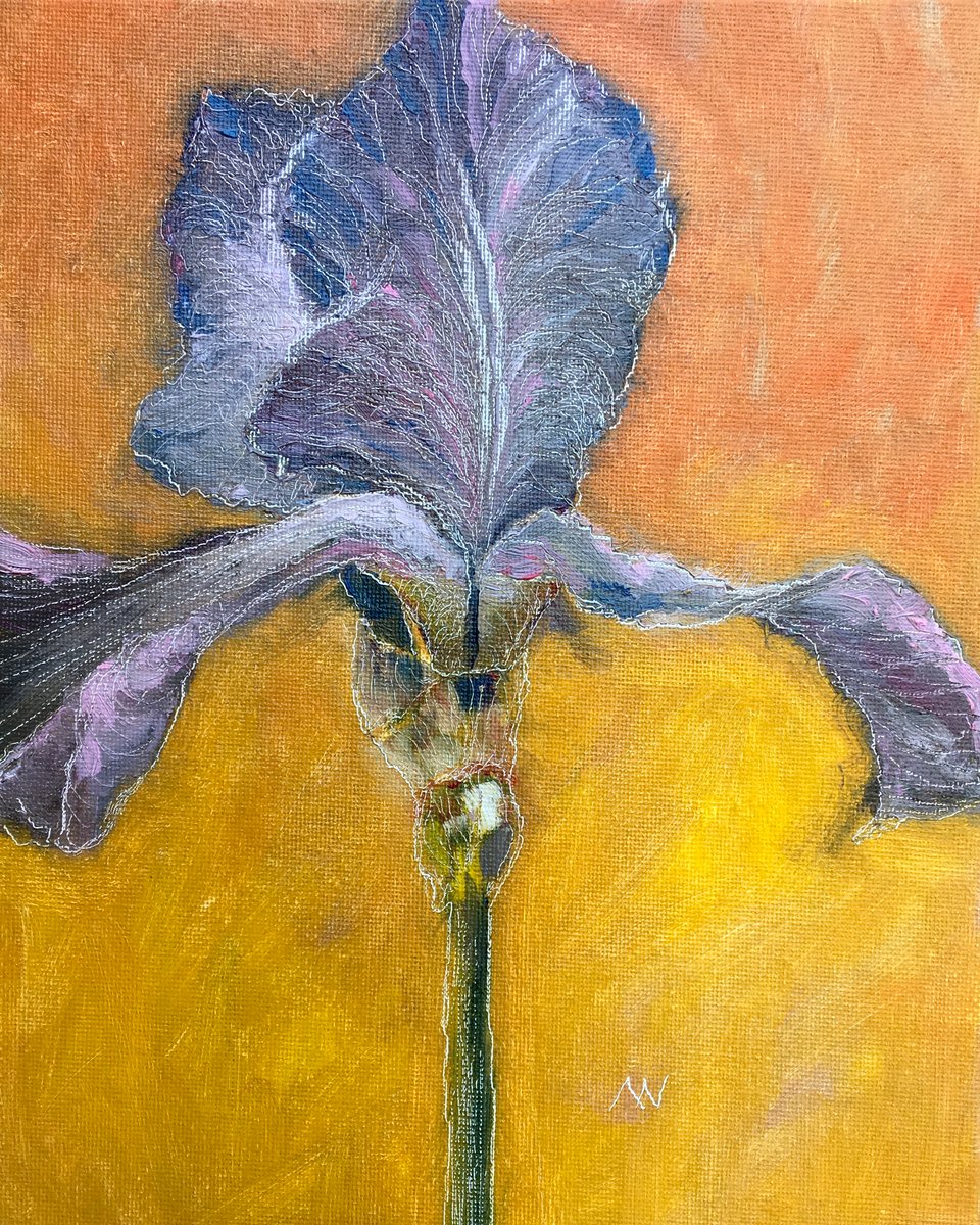 Blue Iris Art by AnneMarie