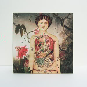 Image of Eva formato cuadrado