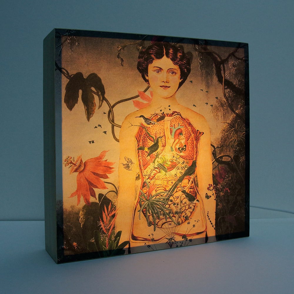 Image of Eva formato cuadrado