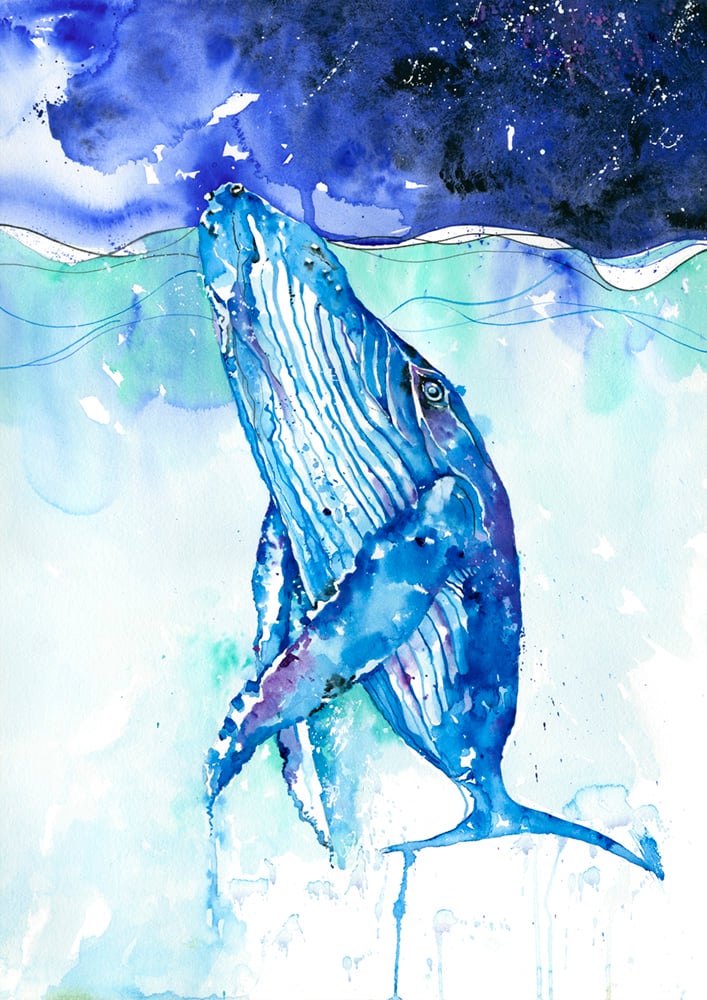 Image of Blue - The great blue Whale FREE POSTAGE 