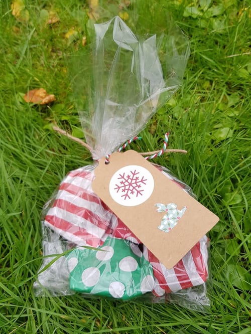 Image of Healthy Munchy Treat Parcels (no oats!)