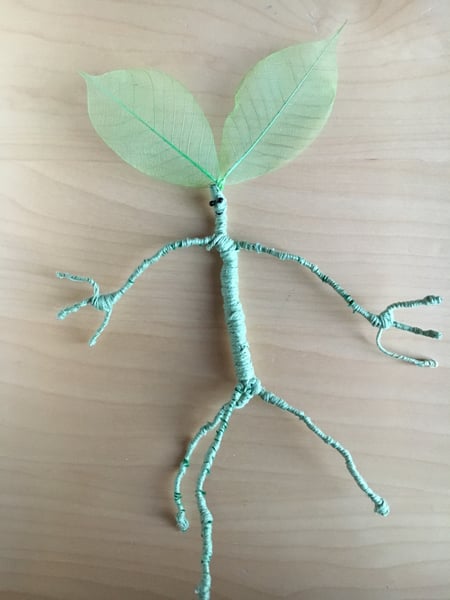 Image of Pickett le Botruc