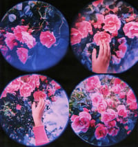 Image 5 of MOON LANDSCAPES, ROSES