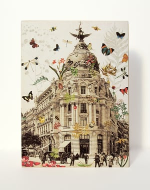 Image of Madrid Botánico