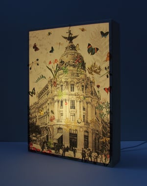 Image of Madrid Botánico