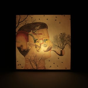 Image of Nido de pájaros