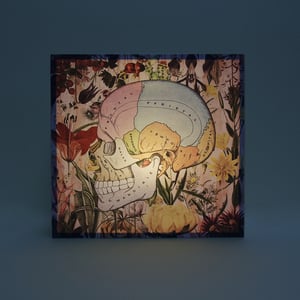 Image of Calavera botánica