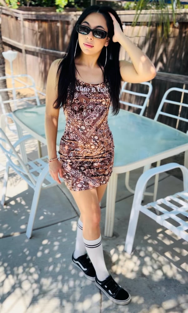 Image of Brown Pano Dress 