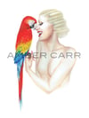 "Macaw" 11" x 17" Print