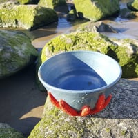 Image 2 of Coral Bowl 1