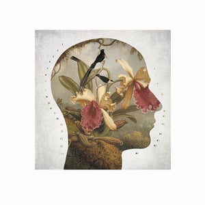 Image of Perfil Botánico 2